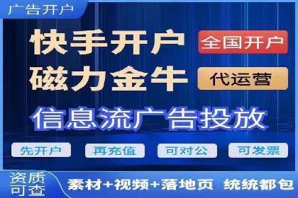 某企业SEM广告投放的ROI提升策略及效果展示